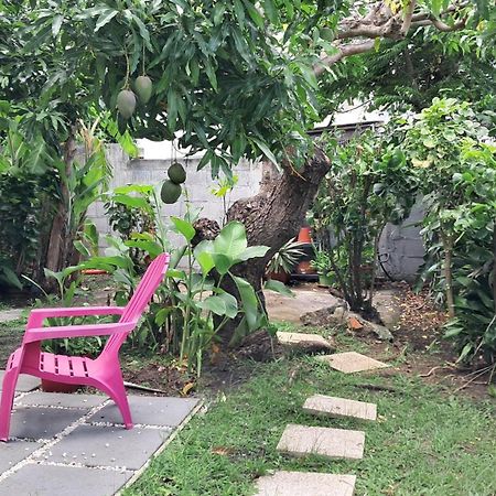 Agreable F2, Jardin, Garage, Fibre, Clim Ch Apartment Fort-de-France Ngoại thất bức ảnh