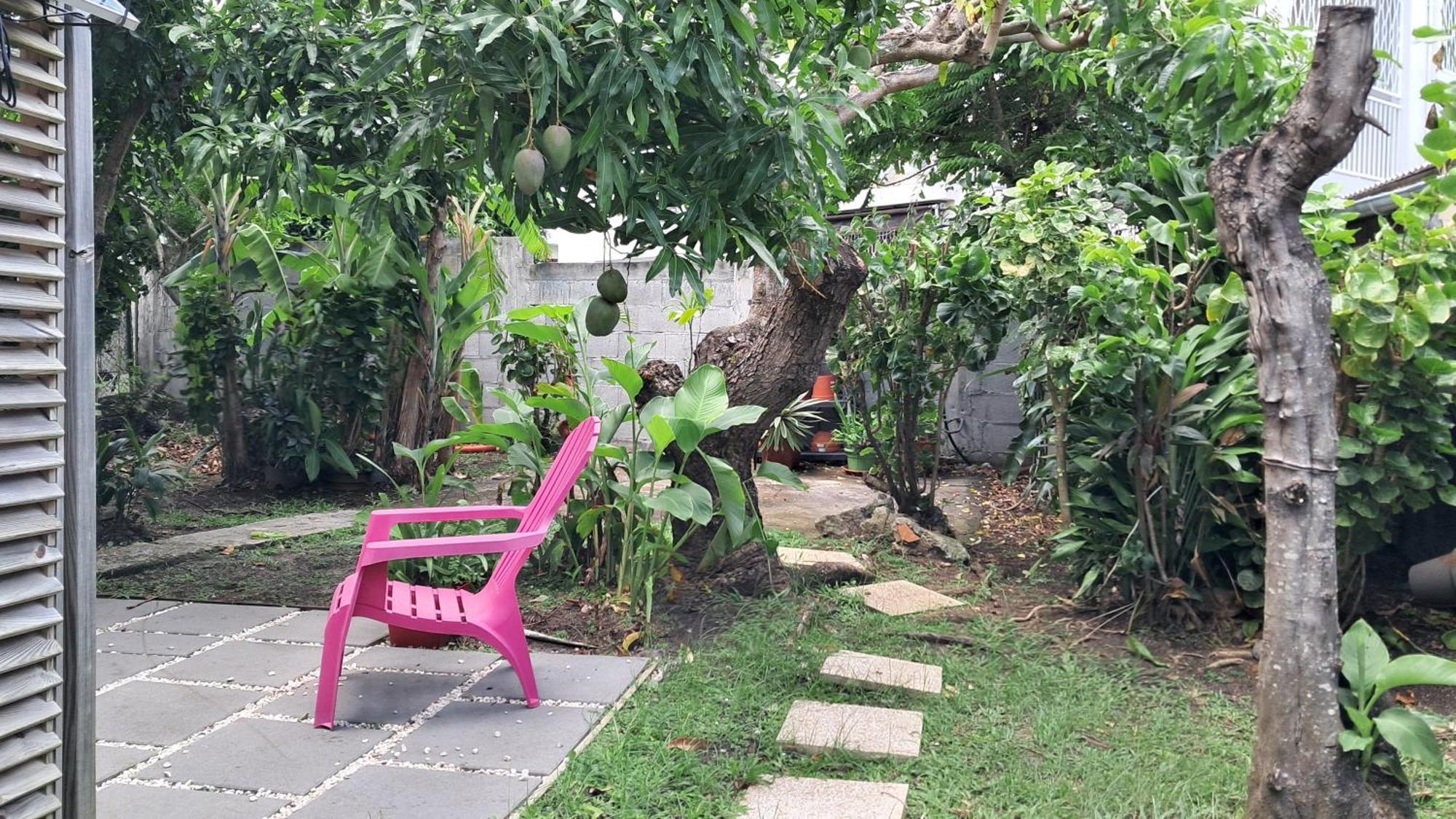 Agreable F2, Jardin, Garage, Fibre, Clim Ch Apartment Fort-de-France Ngoại thất bức ảnh